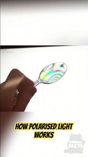 This Light Shows What You Can’t See