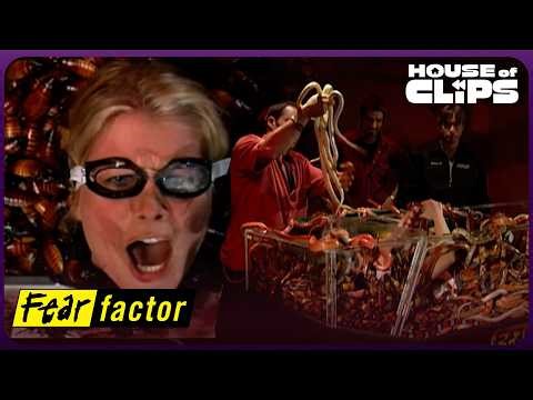 Alison Sweeney's TERRIFYING Stunt | Fear Factor Celebrity