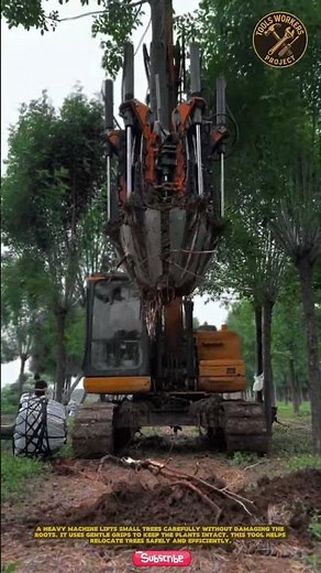 A tree shift shovel or hydraulic tree spade mounted on heavy equipment, such as a skid steer loader
