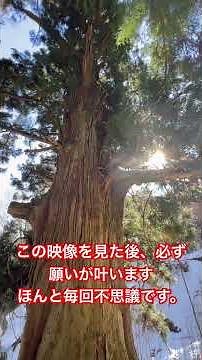 閲覧注意⚠️波動が強力すぎるので注意してご覧下さい。 #パワースポット一人旅 #開運スポット #short