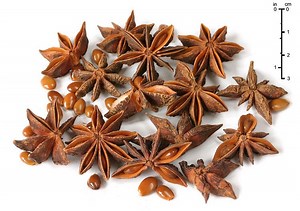 Illicium verum - Alchetron, The Free Social Encyclopedia
