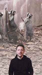 23K views · 660 reactions | Fauna Fables share a few easy tips for editing your favorite furry friends in Photoshop. | Adobe Photoshop | Facebook