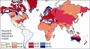 Blood type distribution by country - Alchetron, the free social encyclopedia