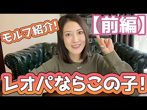 レオパ飼育者が語る！オススメのモルフ【前編】