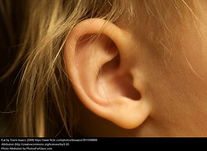 Five Videos Demonstrating The McGurk Effect