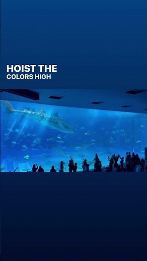 오키나와 츄라우미 수족관 고래상어 등장🔥#츄라우미수족관 #오키나와여행 #Churaumi Aquarium#チュラウミ水族館#okinawa #okinawavlog