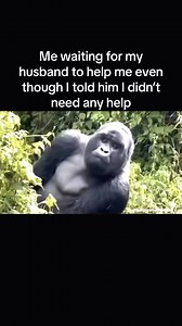 This independent baddie is exhausted 😭Who can relate? Video Credit - @shelly.shells386 #relatable #thekitchenmuse | The Kitchen Muse