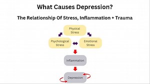 What Causes Depression? The Relationship Of Stress, Inflammation   Trauma!