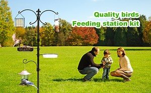 Watch tzt bird feeding station on Amazon Live