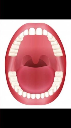 "Draw" the mouth (口) #汉字之美 #handwriting #learnchinese