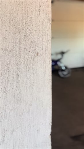 Ei kerenny messui#vetomiesonerimies #tehofantasiat #mkedustus #korimäärää