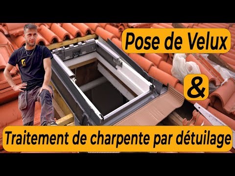 Pose de Velux & Traitement de Charpente par Détuilage