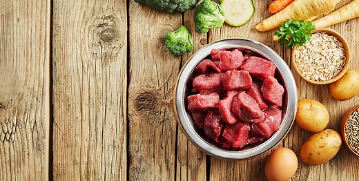 Everything About Raw Dog Food - Dogs First