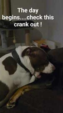 Wakey wakey, time for garden visit.....