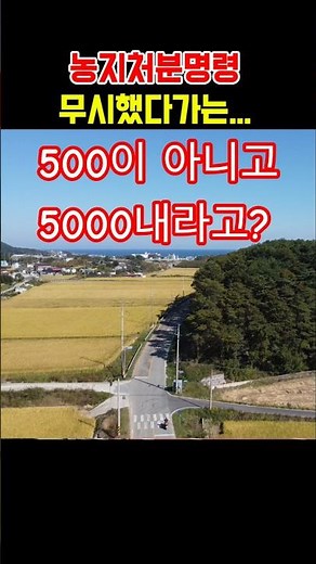 매년 5,000만원씩 내라고? #농지 #이행강제금 실체. #농지처분명령 무시하면 벌어지는 일 #농지법 #시골땅 #촌땅 #착한부동산