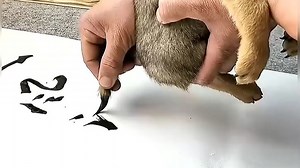 写字，对笔的要求一定要高