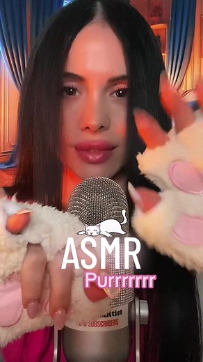🐈🐈🐈 | asmr purring
