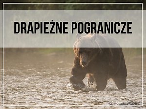 DRAPIEŻNE POGRANICZE