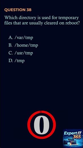 The Temp Directory 📂