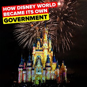 243K views · 1.3K reactions | Disney World, the place where dreams come true, but how did Disney take over miles of swampland in Florida and basically become it's own government outside of restrictions from the State? Find out how Disney can be a magical place, but when it comes time for business, they are ruthless! | The Infographics Show | Facebook
