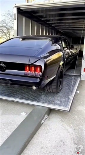 That Cammed Mustang Sound is PURE HEAVEN! 🔊🔥