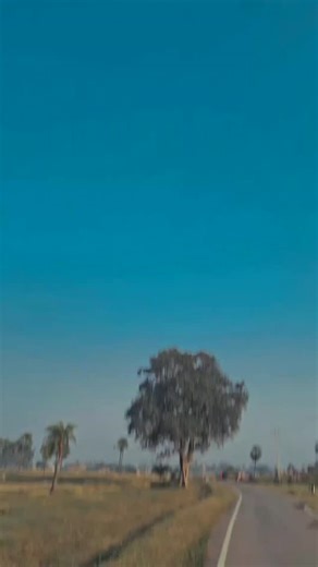 Rishi Bhay on Instagram: "♡1Mㅤㅤ❍50Kㅤㅤ⎙20Kㅤㅤ⌲10K"