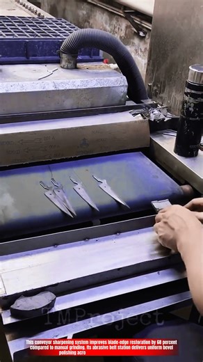 Innovative Knife Blade Conveyor Sharpening System: Best Precision Edge Polishing