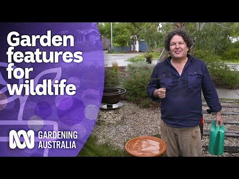 Tips for creating wildlife habitats in your garden | Australian native plants | Gardening Australia
