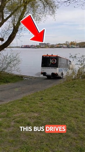 22K views · 133 reactions | The Wildest Bus Ride You’ll Ever See...