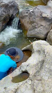 gold discovery process | traditional gold extraction process | super material containing gold | gold nugget $1500 in bedrock crack 😱‼️⛏️ amazing #puregold #goldmine #goldhunter #goldprocessing #goldextraction #goldminer #goldpanning #goldhunting | Otriadi