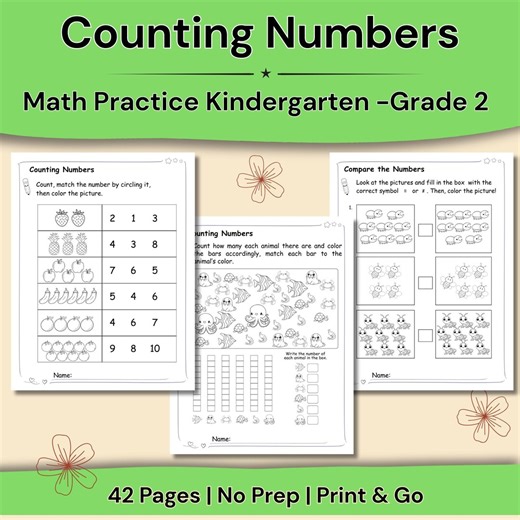 Counting Numbers Worksheets | Math Practice K–2 | 42 Pages No Prep - Etsy