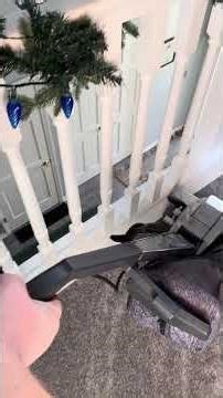 Metal Fan Kirby G4 - Brief Vacuuming