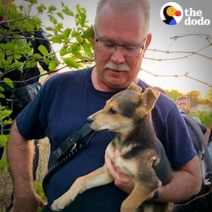 This firefighter saved a puppy — then realized he couldn't live without him 💛 | The Dodo