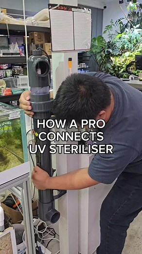 Installing a UV sterilizer to an aquarium #aquariumhobby #fishkeeping #aquariumfilter