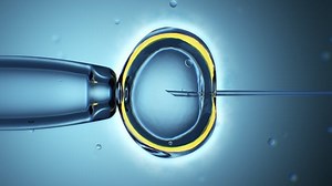 Fecundação Vitro Detalhada Close-up em 4K