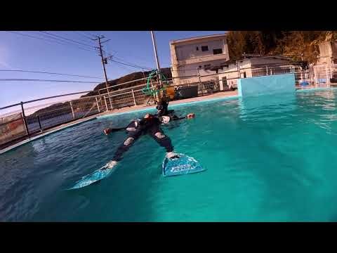 実戦で使えるスキルが欲しい ダイビングを極めたい 伊豆ダイビングライセンス取得 SNSIインストラクターコース 首都圏