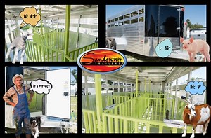 Air Spacing: 2 Air gaps with Plexiglas tracks Rear Gate: Full swing rear gate Center Gate: Swinging center gate All aluminum Spoiler w/ LED Lights 50/50 rear Doors 6 Plus 1 optional Pens | Triple M Trailers of Texas | Facebook