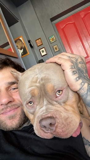 BellaTeo on Instagram: "Теонид Андреевич сегодня добрый )"