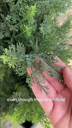 The best outdoor artificial trees!!