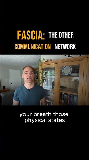 Fascia Explained: The Tissue That Connects Everything