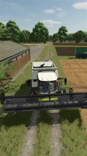 Wheat Harvesting | #farming #farmingsimulator25 #gaming