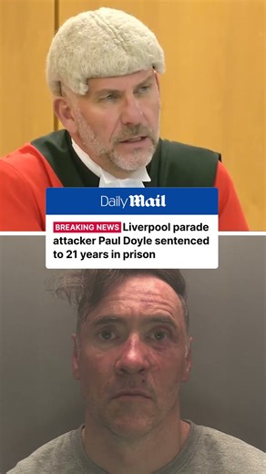 Ex-Royal Marine Paul Doyle sentenced for Liverpool parade attack