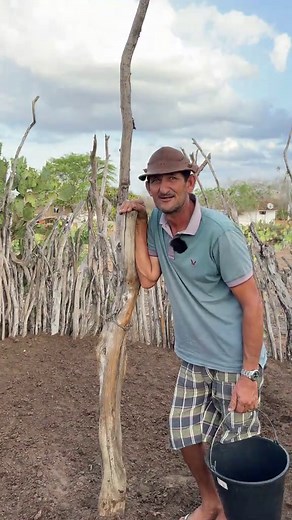 Entenda o bezerro: Origem e Cuidado na Fazenda