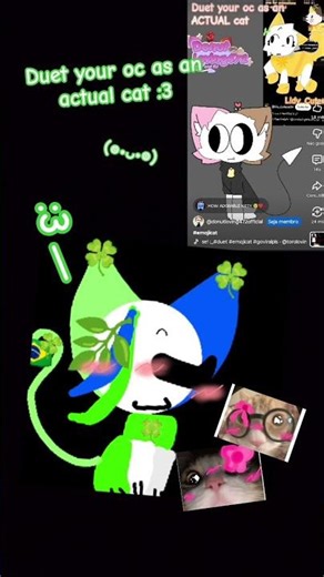 fico fofin né jente-