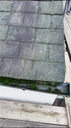 Wakefield Reroofing Project: Progress Update