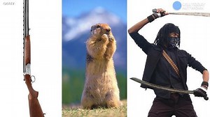 The world's largest retailer might seem like it sells everything, but there are some exceptions. Do you know what are Amazon 'no-no's?' Take the quiz! | USA TODAY Video