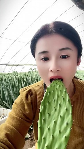 Eat cactus. #fyp #asmr #instagram #asmrmaker #foryoupage #foryou #asmrsounds #asmrfood #asmrvideo #asmrtiktoks #chinesefoodie #chineseasmr #chineseasmreating #stressrelief #stressrelieftips #stressreliefsound #mukbang #mukbangchina #asmrmukbang #mukbangasmr #cactus #eatcactus #eatingcactus #eatingcactuschallenge #cactuseating #crunch #asmrcrunch #crunchy #asmrcrunchy #asmrcrunchyfood #eating #asmreating #eatingasmr #eatingshow #asmreatingshow #eatingshowasmr