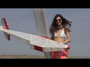 Lazy Hazy days of Summer, flying model gliders.