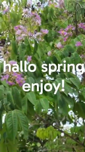 enjoy the beautiy of spring. #spring enjoy
