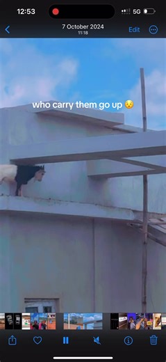 Catching Big Fish for Peace of Mind